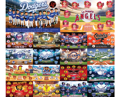 Baseball team banner samples